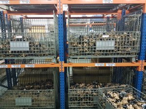 Z Tide RDT PRV bronze valves at Factory
